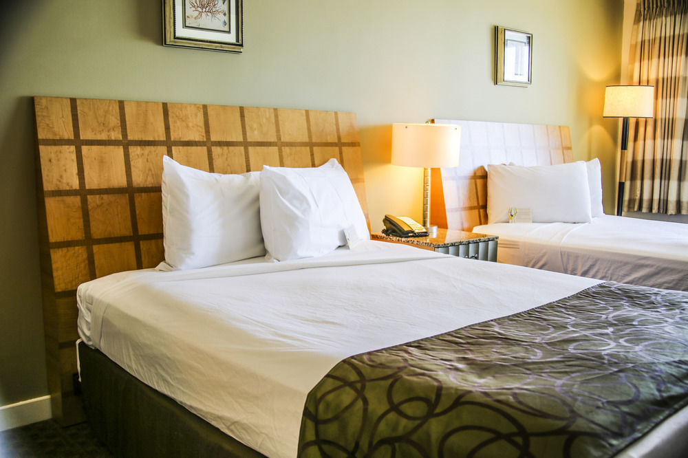 Beach Tower Beachfront Hotel, A By The Sea Resort Panama City Beach Eksteriør bilde